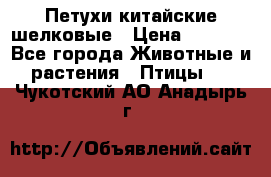 Петухи китайские шелковые › Цена ­ 1 000 - Все города Животные и растения » Птицы   . Чукотский АО,Анадырь г.